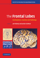 Frontal Lobes - 