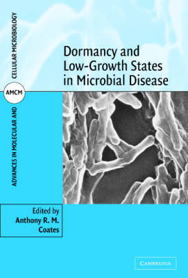 Dormancy and Low Growth States in Microbial Disease - 