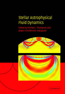 Stellar Astrophysical Fluid Dynamics - 