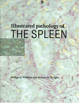 Illustrated Pathology of the Spleen -  Bridget S. Wilkins,  Dennis H. Wright