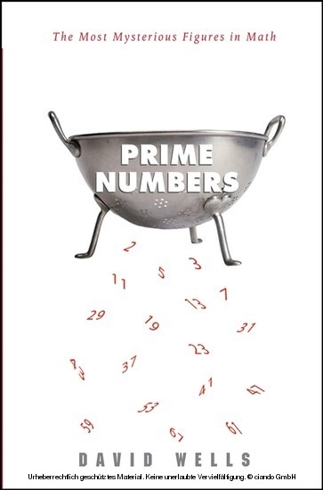 Prime Numbers -  David Wells