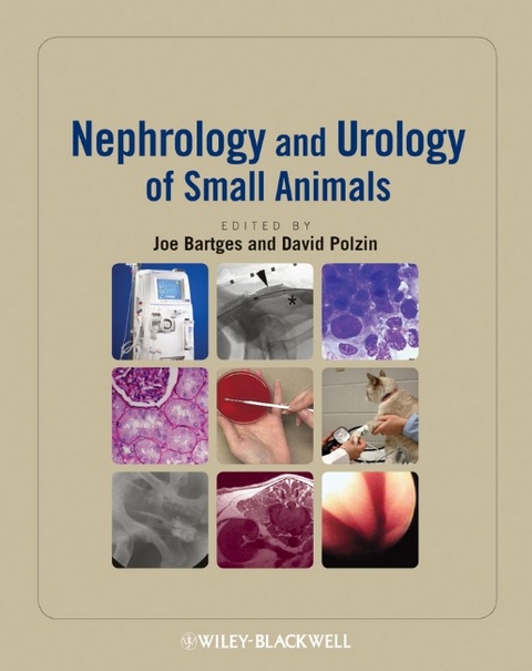 Nephrology and Urology of Small Animals - 