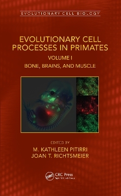 Evolutionary Cell Processes in Primates - 