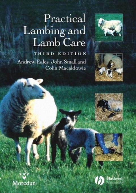 Practical Lambing and Lamb Care -  Andrew Eales,  Colin Macaldowie,  John Small