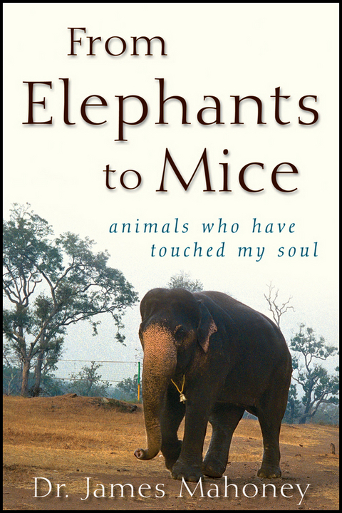 From Elephants to Mice - James Mahoney