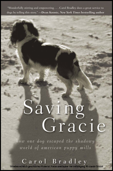 Saving Gracie -  Carol Bradley