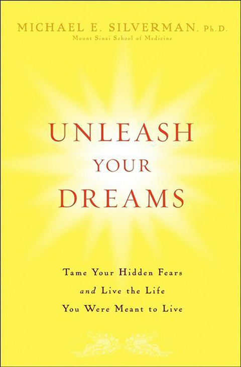 Unleash Your Dreams - Michael E. Silverman