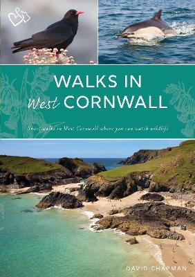 Walks in West Cornwall - David Chapman