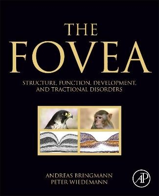 The Fovea - Andreas Bringmann, Peter Wiedemann