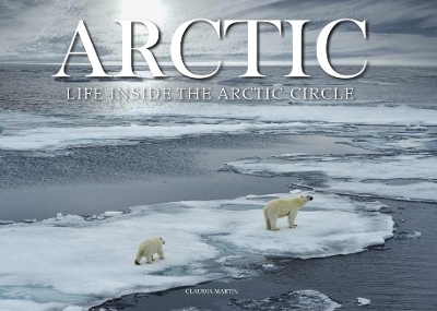 Arctic - Claudia Martin