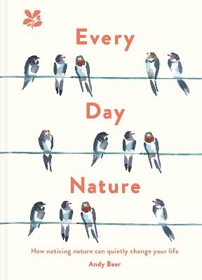 Every Day Nature - Andy Beer,  National Trust Books