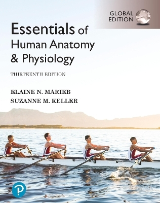 Essentials of Human Anatomy & Physiology, Global Edition + Mastering A&P with Pearson eText - Elaine Marieb, Suzanne Keller