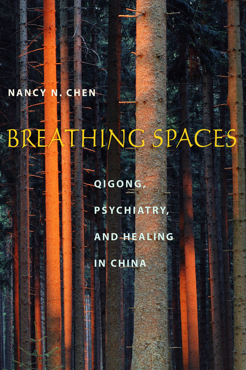 Breathing Spaces -  Nancy N. Chen