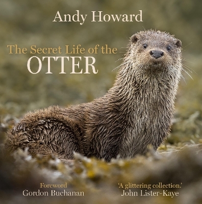 The Secret Life of the Otter - Andy Howard