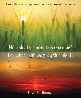 How shall we pray this morning? For what shall we pray this night? - Thom Shuman