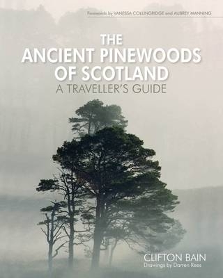 The Ancient Pinewoods of Scotland - Clifton Bain