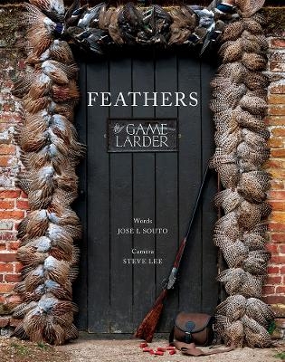 Feathers - Jose Souto