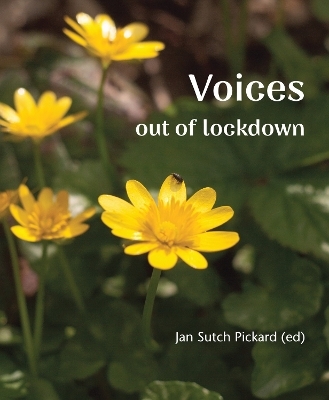 Voices Out of Lockdown - Jan Sutch Pickard