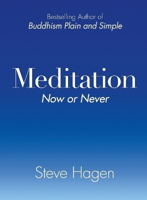 Meditation Now or Never - Steve Hagen