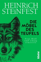 Die Möbel des Teufels - Heinrich Steinfest