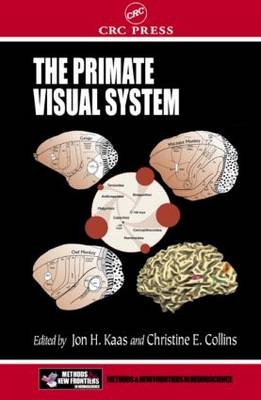 The Primate Visual System - 