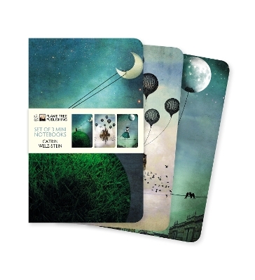 Catrin Welz-Stein Set of 3 Mini Notebooks - 