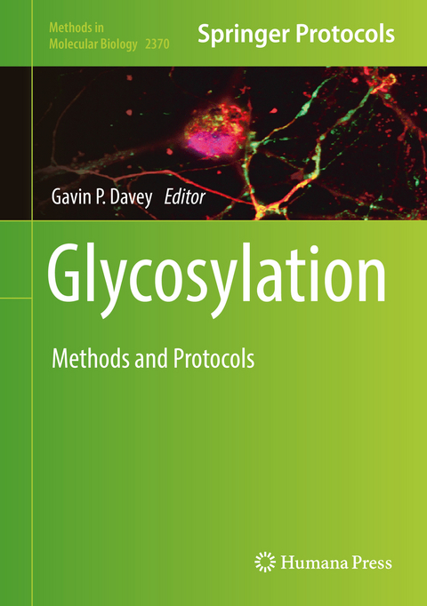 Glycosylation - 