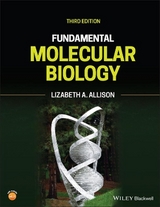 Fundamental Molecular Biology - Allison, Lizabeth A.