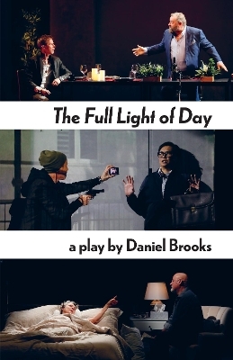 The Full Light of Day - Daniel Brooks