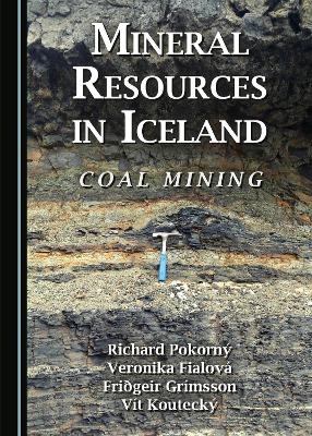 Mineral Resources in Iceland - Richard Pokorný, Veronika Fialová, Friðgeir Grímsson