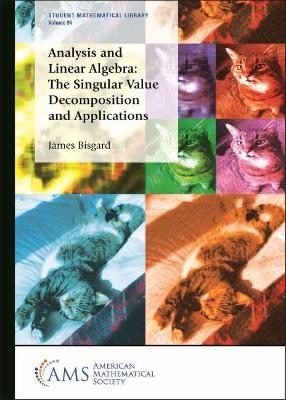 Analysis and Linear Algebra - James Bisgard