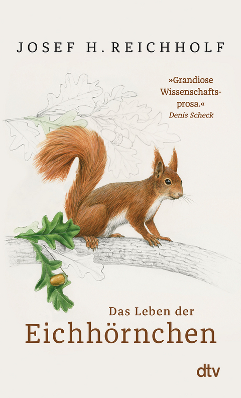 Das Leben der Eichhörnchen - Josef H. Reichholf