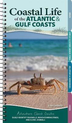 Coastal Life of the Atlantic and Gulf Coasts - Erika Zambello