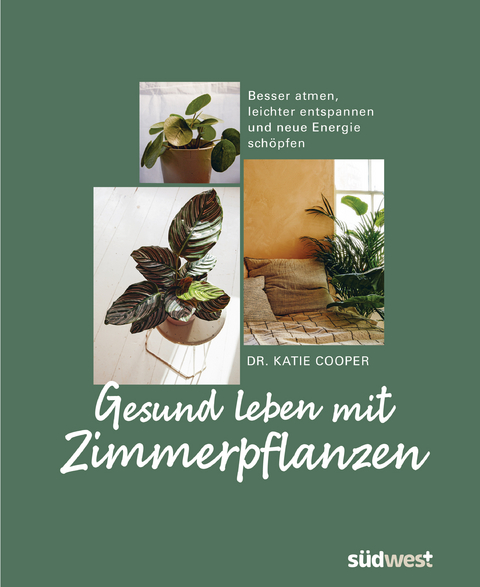 Gesund leben mit Zimmerpflanzen - Katie Cooper