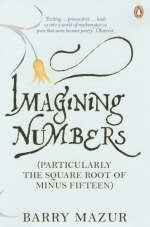 Imagining Numbers -  Barry Mazur