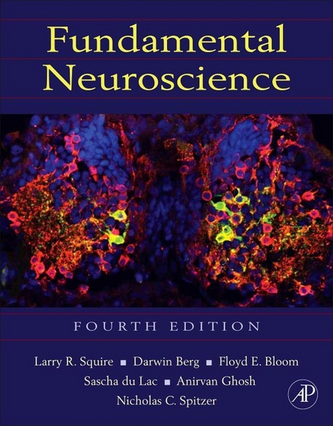 Fundamental Neuroscience - 