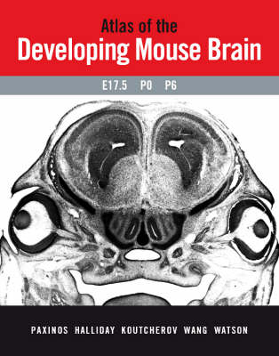 Atlas of the Developing Mouse Brain at E17.5, P0 and P6 -  George Paxinos