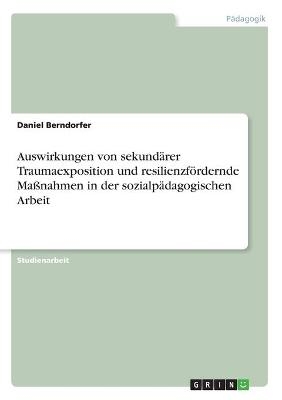 Auswirkungen von sekundÃ¤rer Traumaexposition und resilienzfÃ¶rdernde MaÃnahmen in der sozialpÃ¤dagogischen Arbeit - Daniel Berndorfer