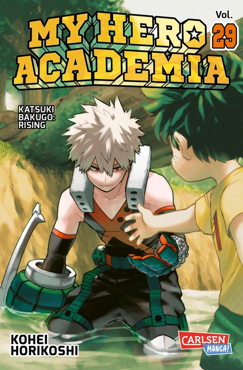 My Hero Academia 29 - Kohei Horikoshi