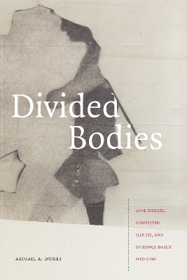 Divided Bodies - Abigail A. Dumes