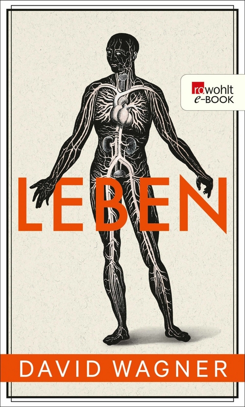 Leben -  David Wagner