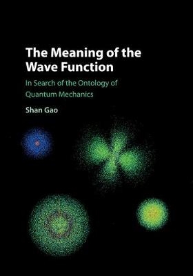 The Meaning of the Wave Function - Shan Gao