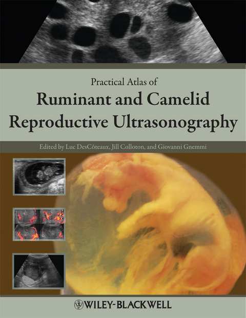 Practical Atlas of Ruminant and Camelid Reproductive Ultrasonography - 