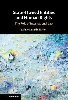 State-Owned Entities and Human Rights - Mihaela Maria Barnes