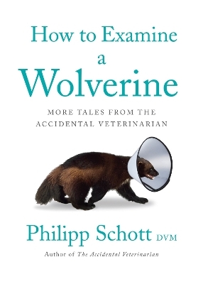 How to Examine a Wolverine - Philipp Schott