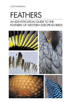 Feathers - Cloé Fraigneau