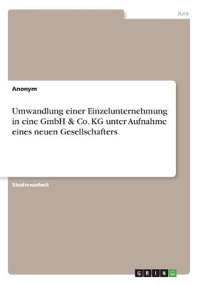 Umwandlung einer Einzelunternehmung in eine GmbH & Co. KG unter Aufnahme eines neuen Gesellschafters -  Anonymous