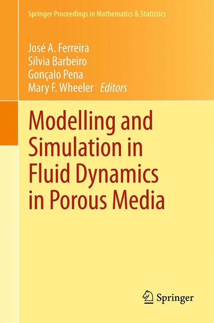 Modelling and Simulation in Fluid Dynamics in Porous Media - 