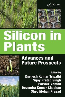 Silicon in Plants - 