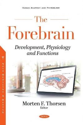 The Forebrain - 